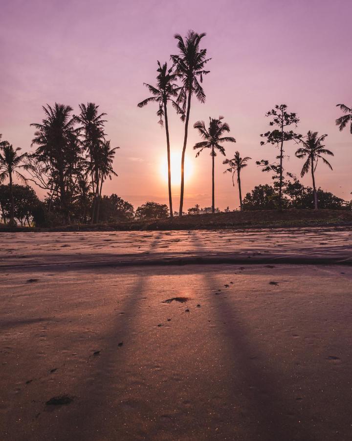 Seaside Tribe - Boutique Surf Stay & Retreat تاناه لوت المظهر الخارجي الصورة